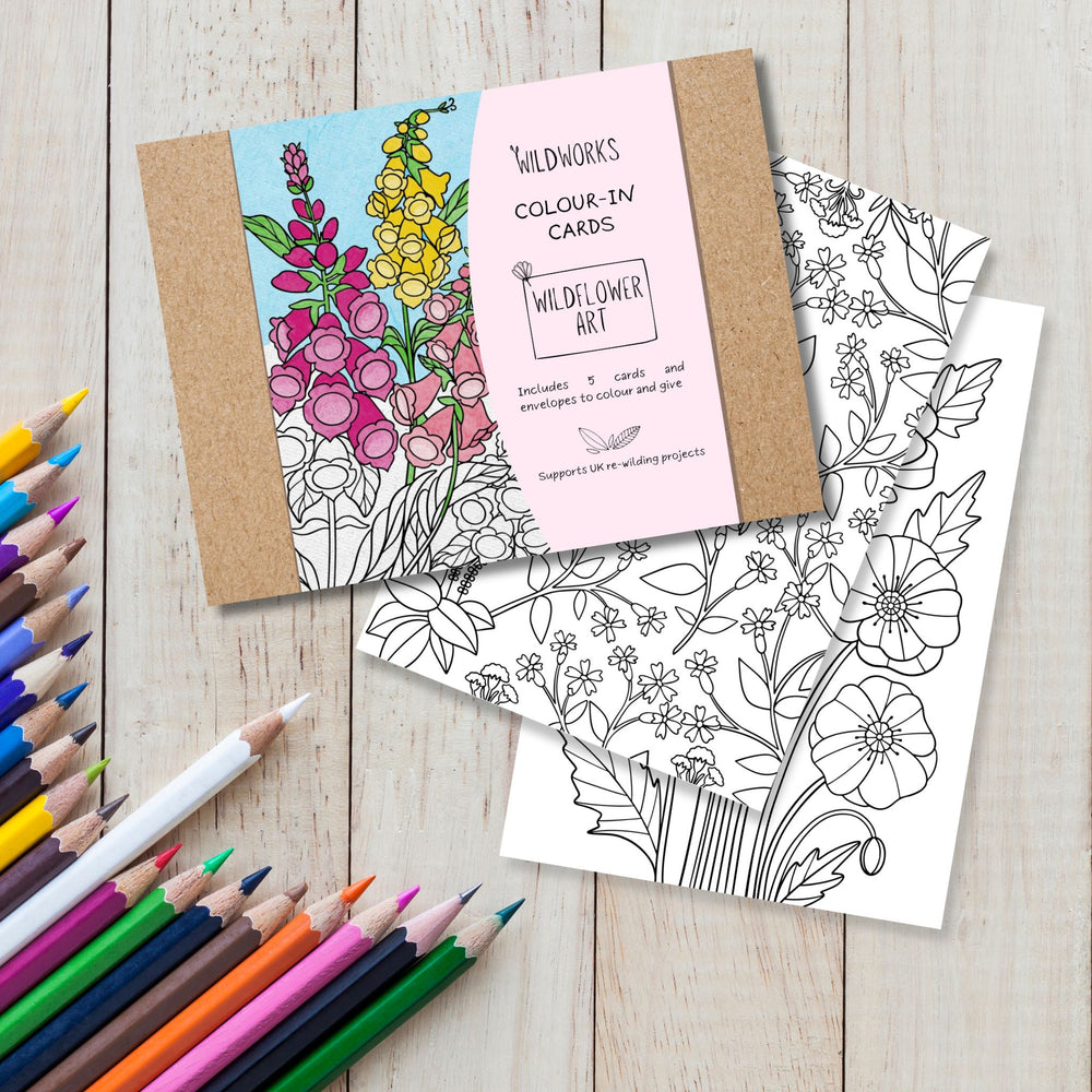 Colour-In Cards: Wildflower Art