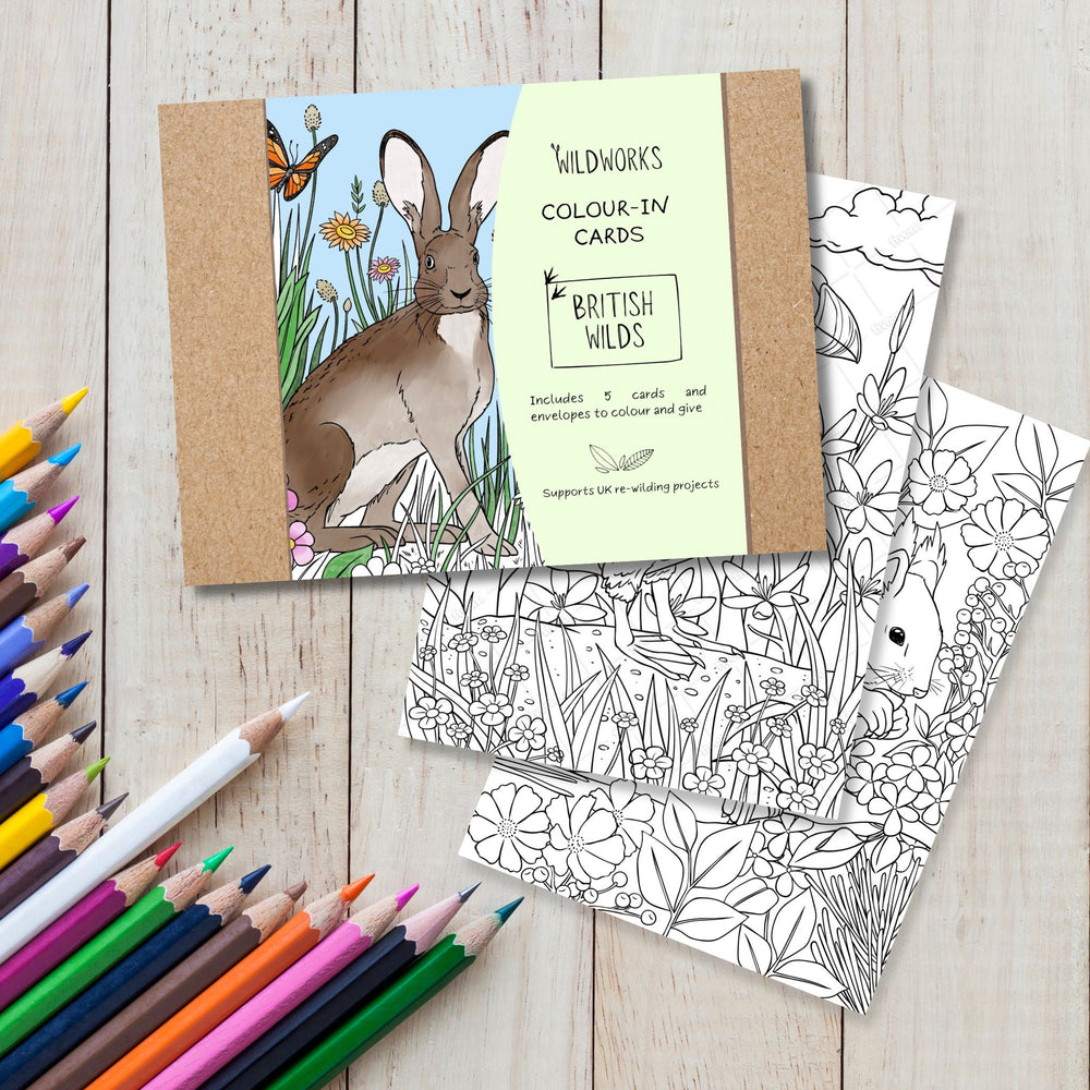 Colour-In Cards: British Wilds