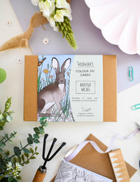 Colour-In Cards: British Wilds