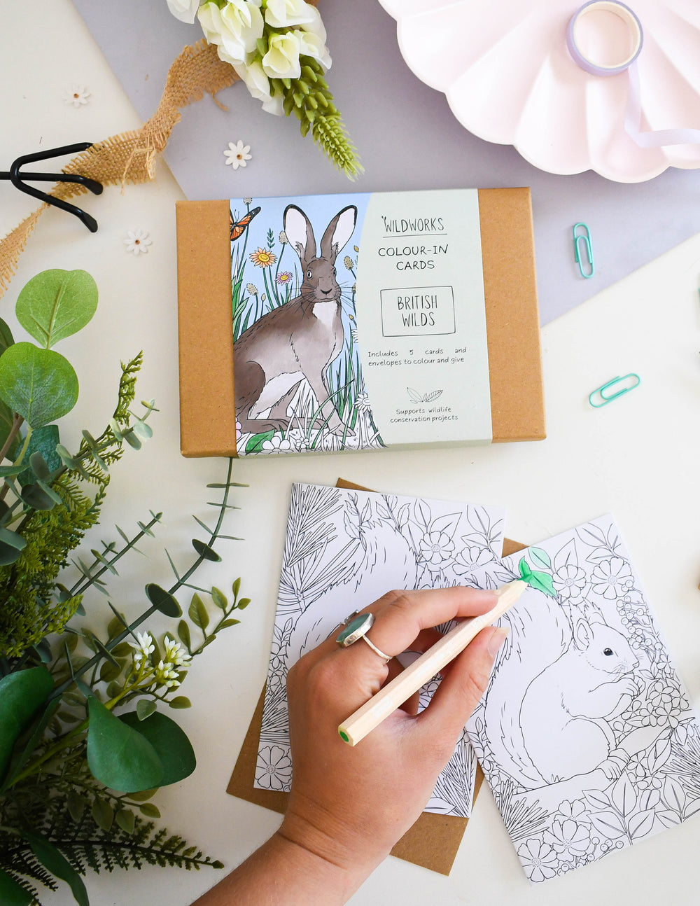 Colour-In Cards: British Wilds