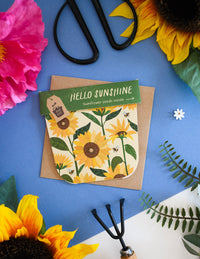 Hello Sunshine